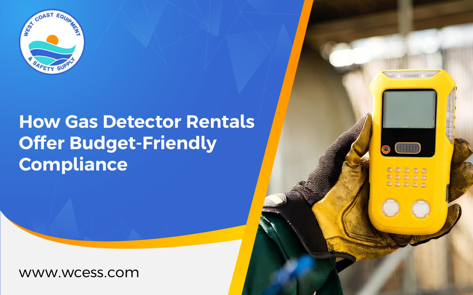 Gas detector rental services